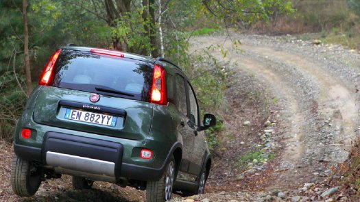 Auto Fiat Panda 4x4 Panda 13 mjt 16v Cross 4x4 s&s 95cv usata in vendita presso concessionaria Auto 4 a 10.000 &euro; - foto numero 3